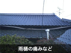 雨樋の痛みなど