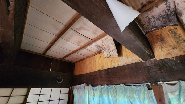 雨漏りの天井の様子