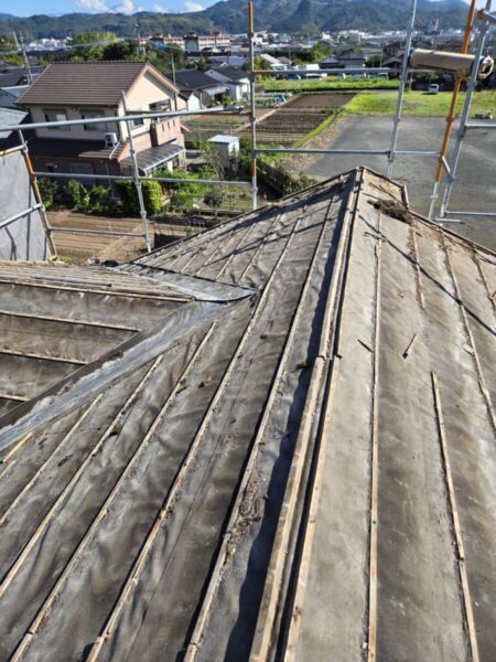 写真1